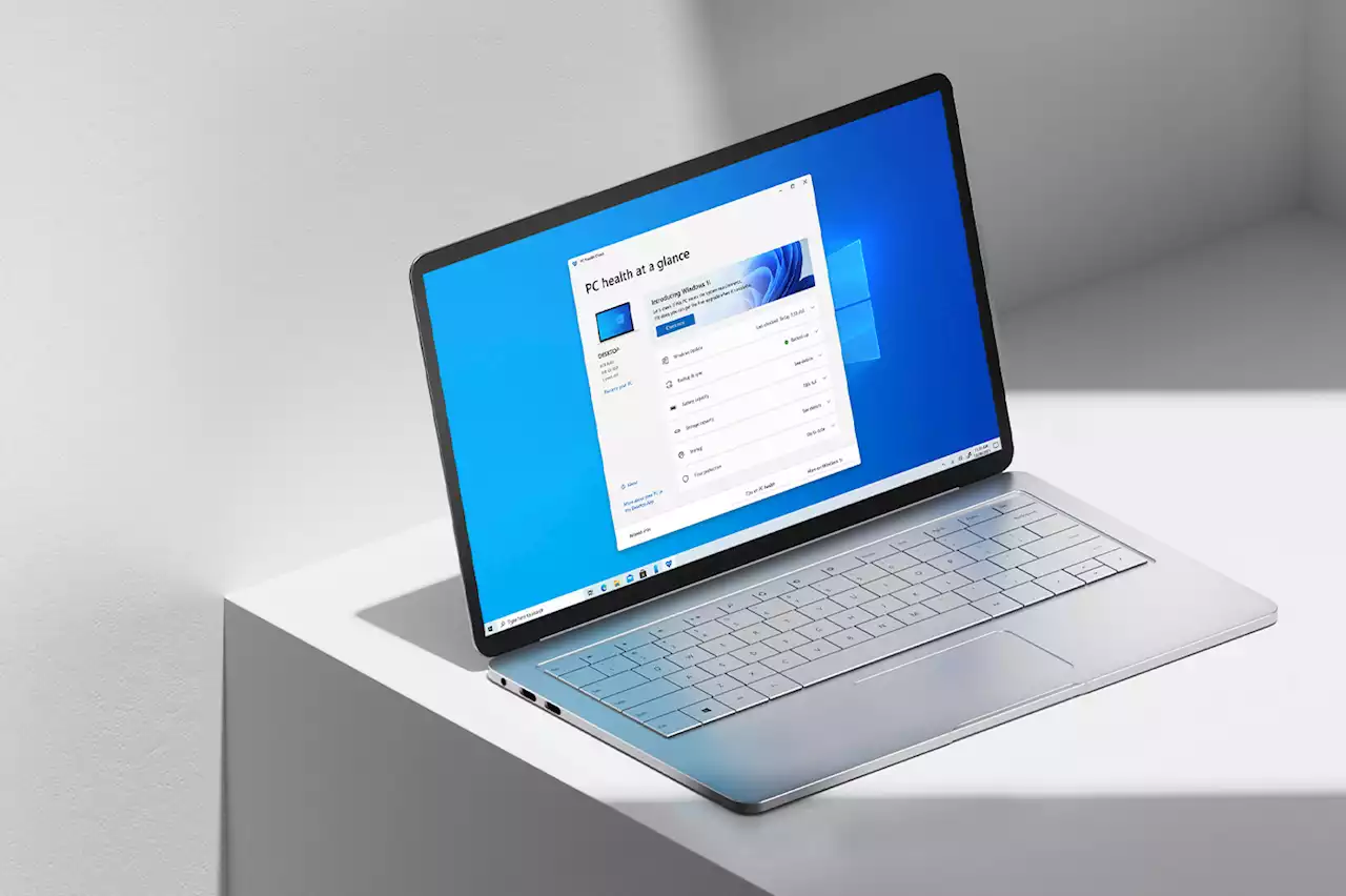 Comment la nouvelle version de Windows 11 renforce la protection de vos mots de passe