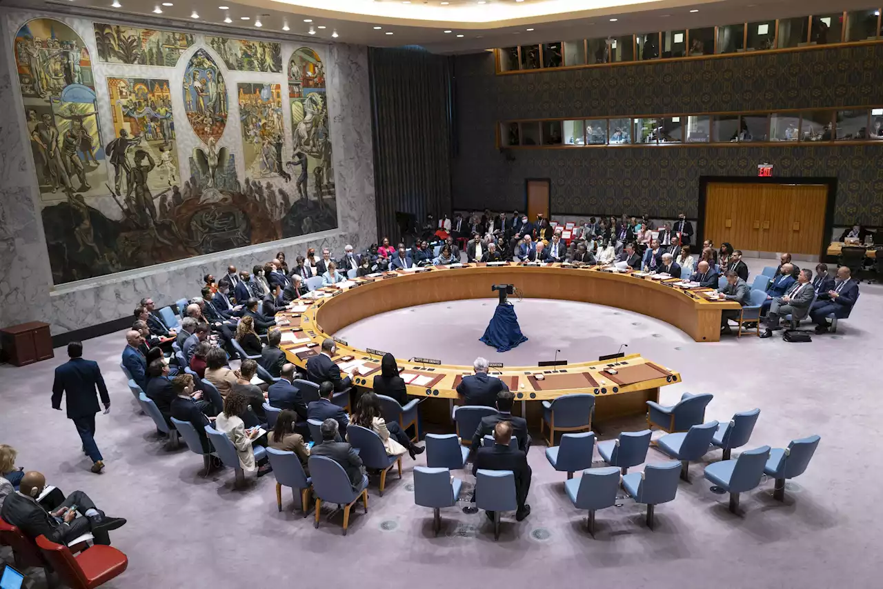 Politics impede long-advocated growth of UN Security Council