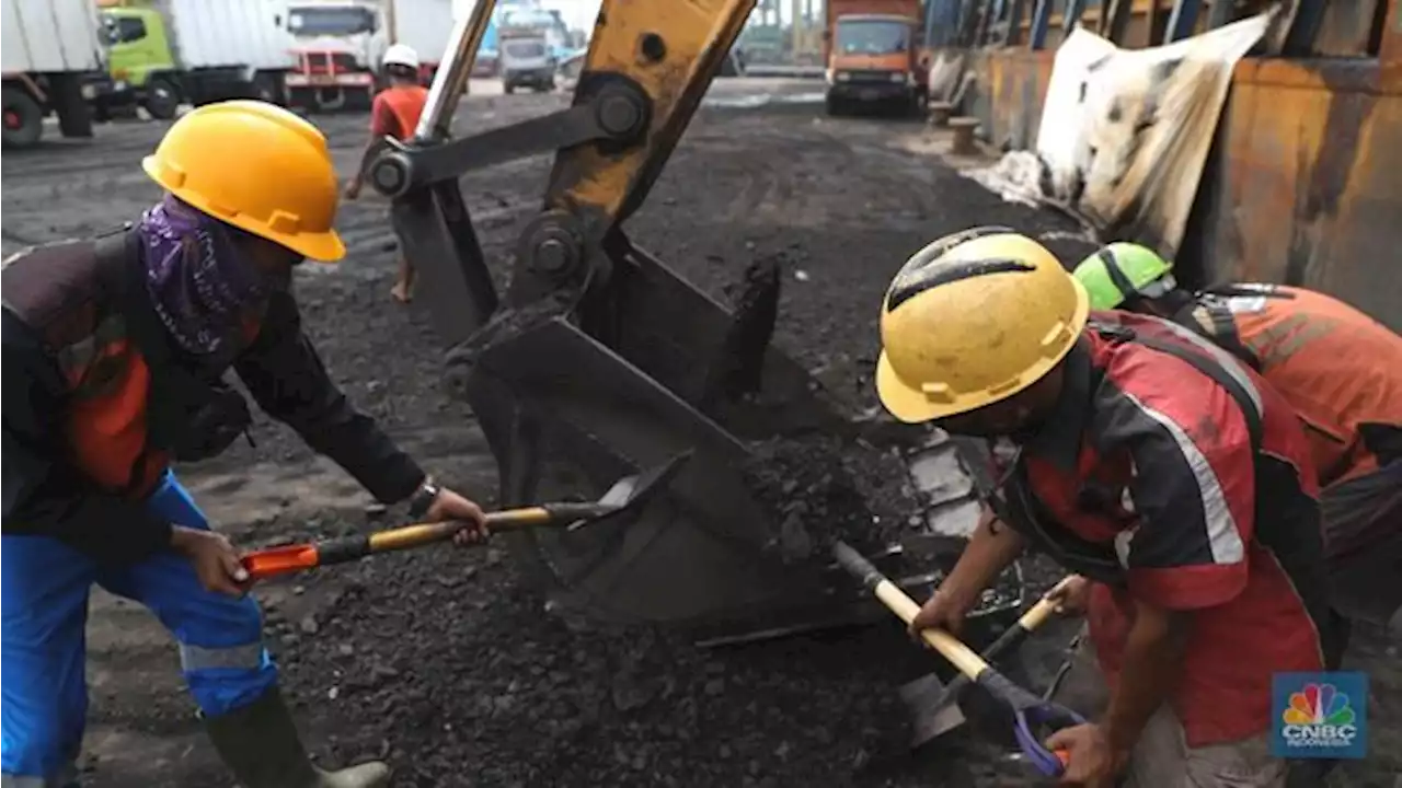 Harap Bersabar! Harga Batu Bara Diramal Anjlok Pekan Ini