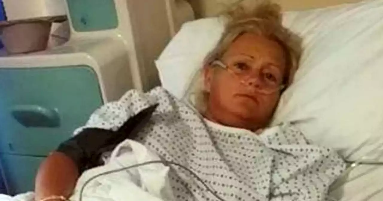 Dog poos in woman's mouth as she slept leaving her in hospital for three days