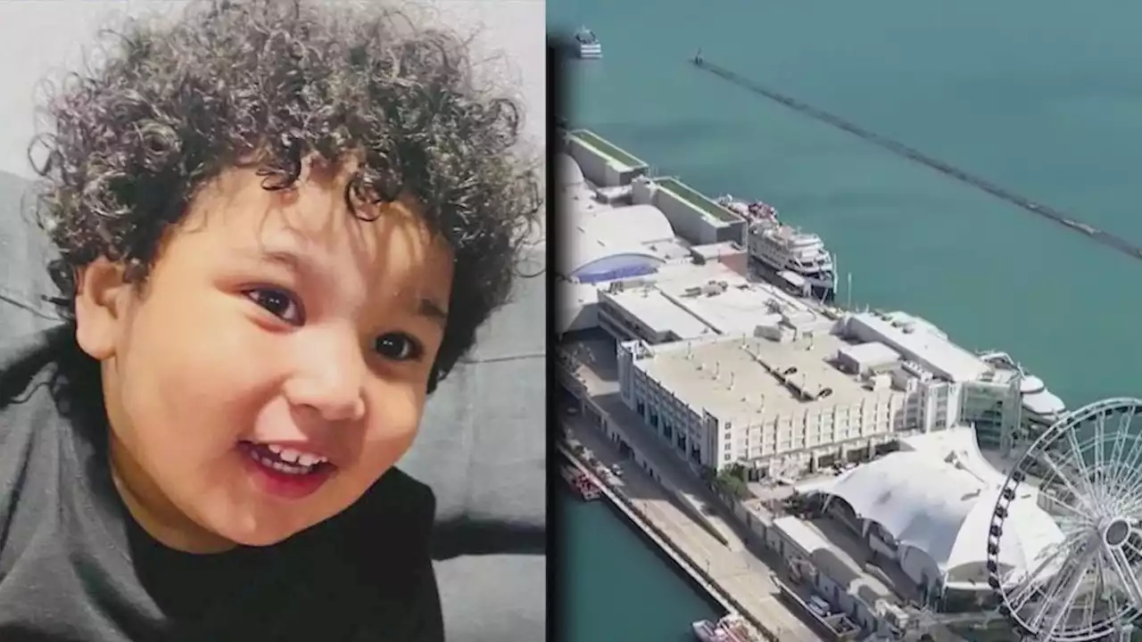 Toddler whose aunt is accused of pushing him into Lake Michigan dies