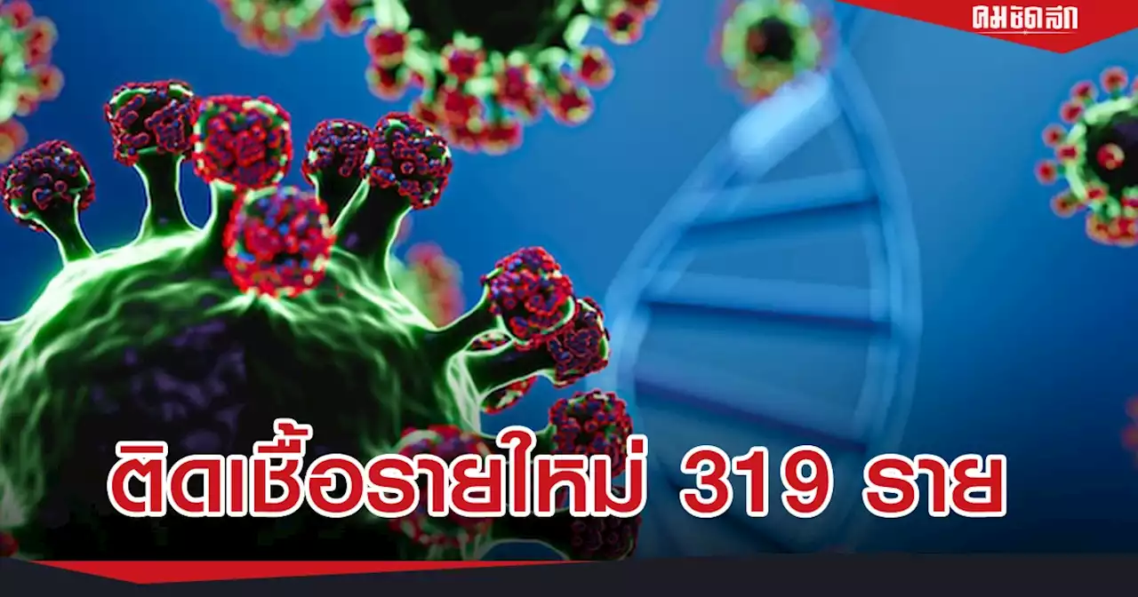 'โควิดวันนี้' ติดเชื้อใหม่ลดลงต่อเนื่อง วันนี้พบ 319 ราย เสียชีวิต 8 ราย