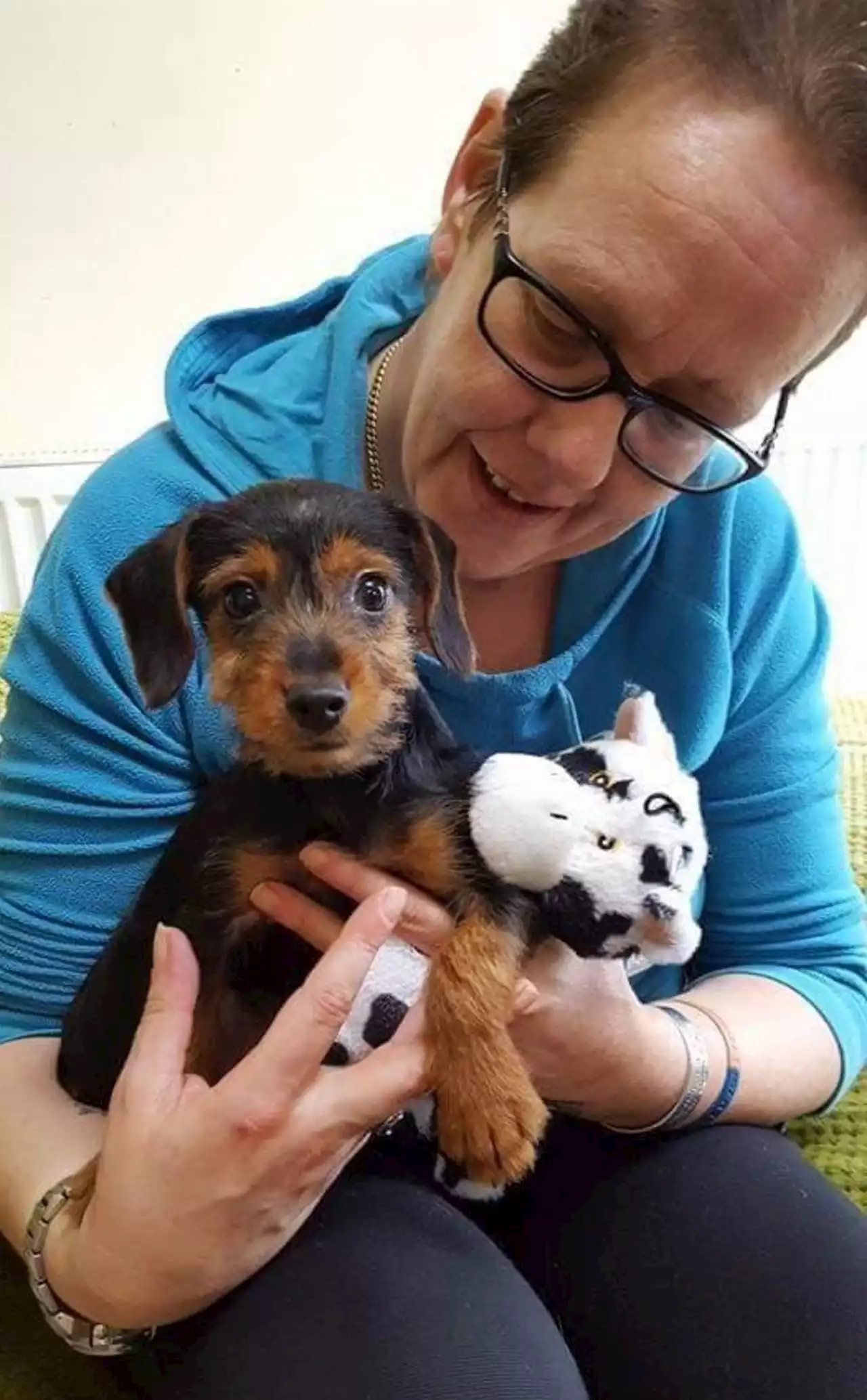 A dog from Leyland who helped save his owner's life has been nominated for a top bravery award