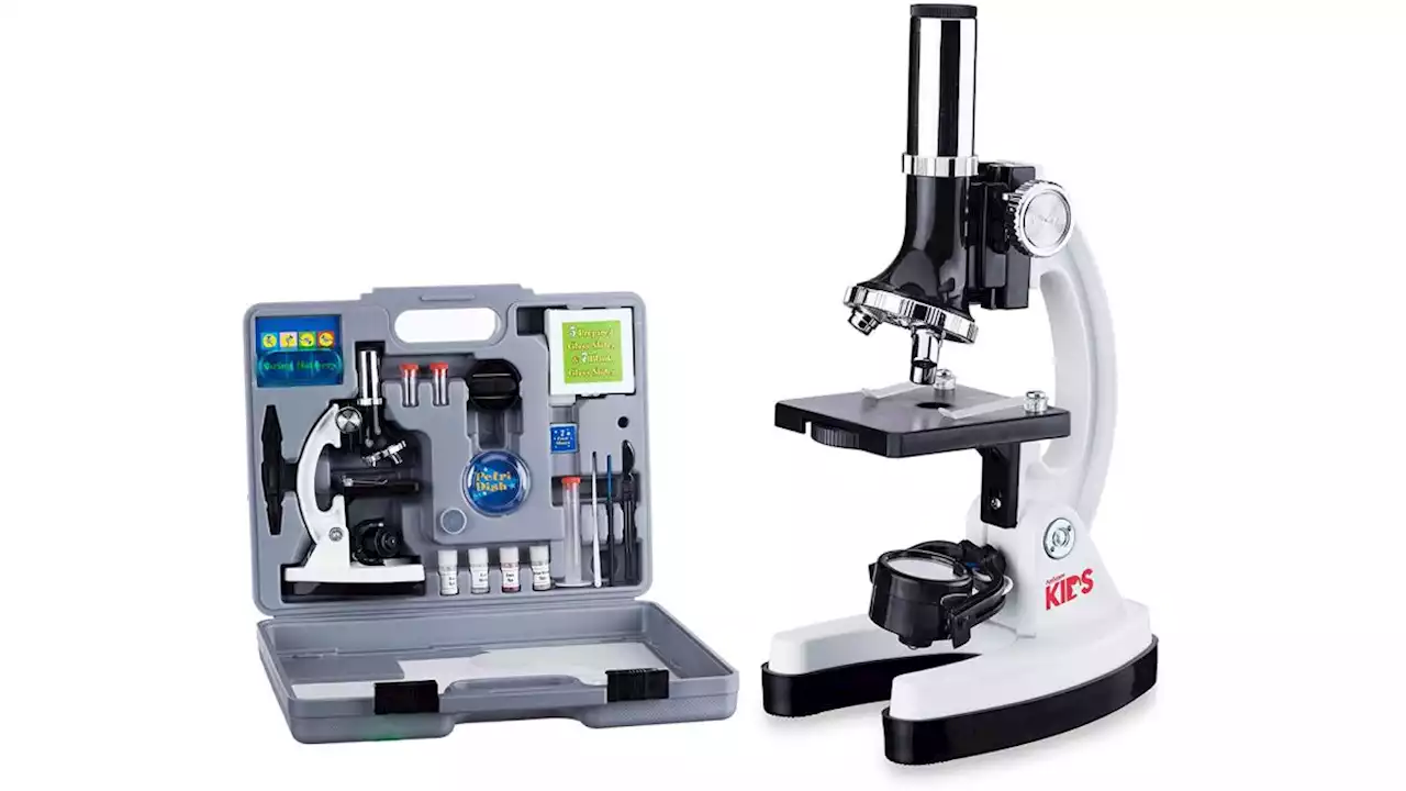 Amazon is offering up to 38% off these AmScope Microscopes for kids and students