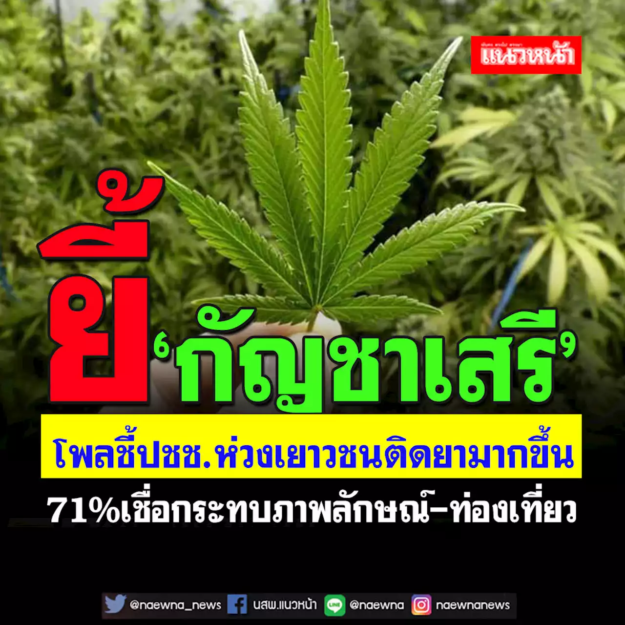 โพลศูนย์เอเชียฯฟันเปรี้ยง ปชช.ห่วงเยาวชน 87.27% ไม่เอา‘กัญชาเสรี’