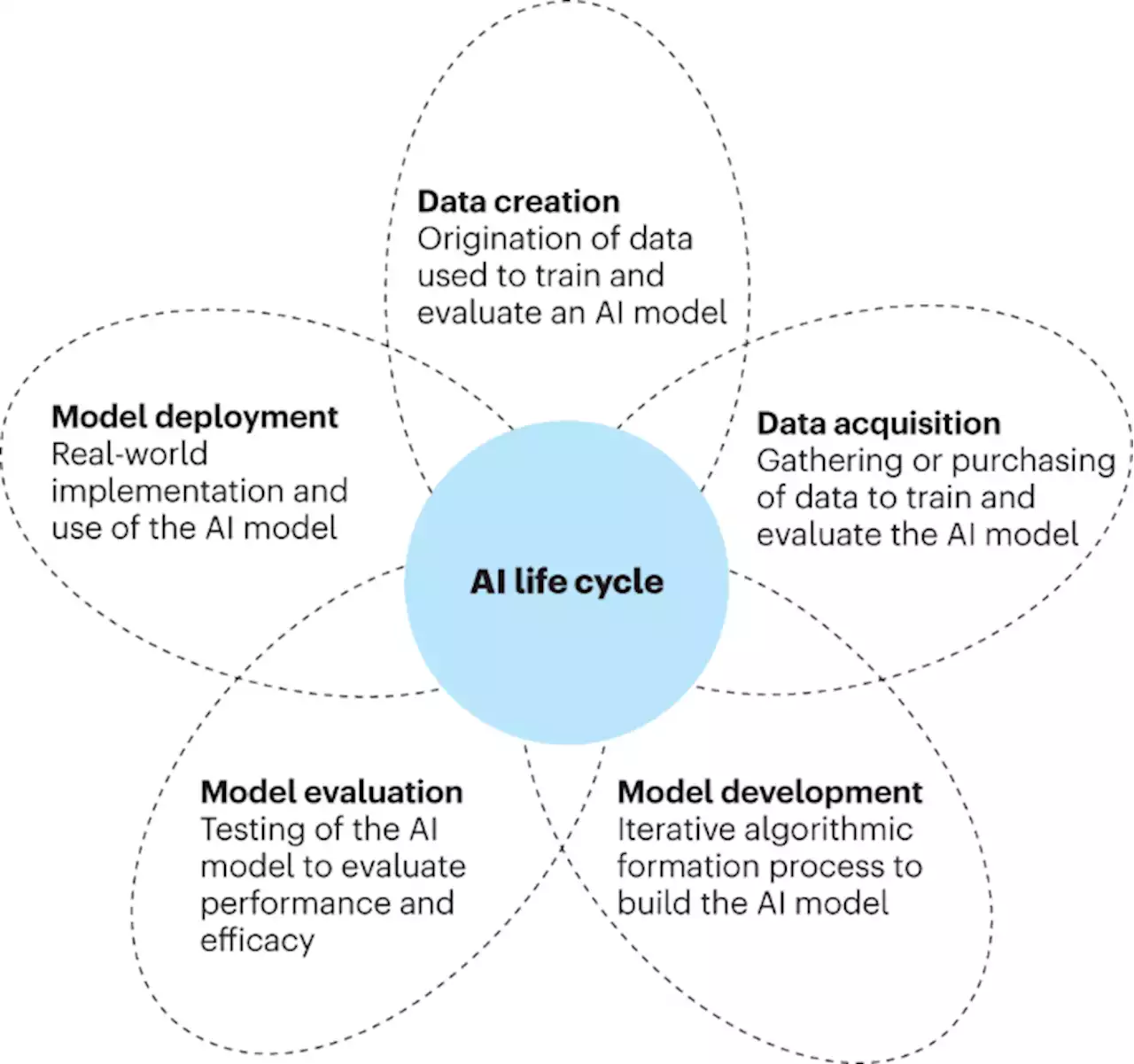 The AI life cycle: a holistic approach to creating ethical AI for health decisions - Nature Medicine