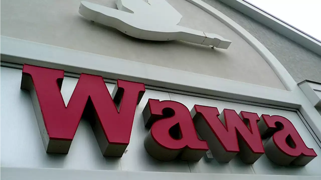 Video: Northeast Philly Wawa Ransacked by Group of ‘100 Juveniles'