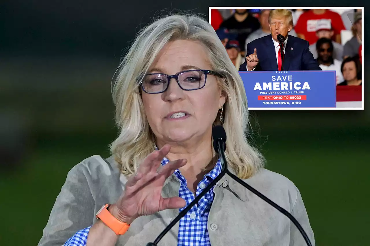 Liz Cheney says she’ll campaign for Dems, leave GOP if Trump is 2024 pick