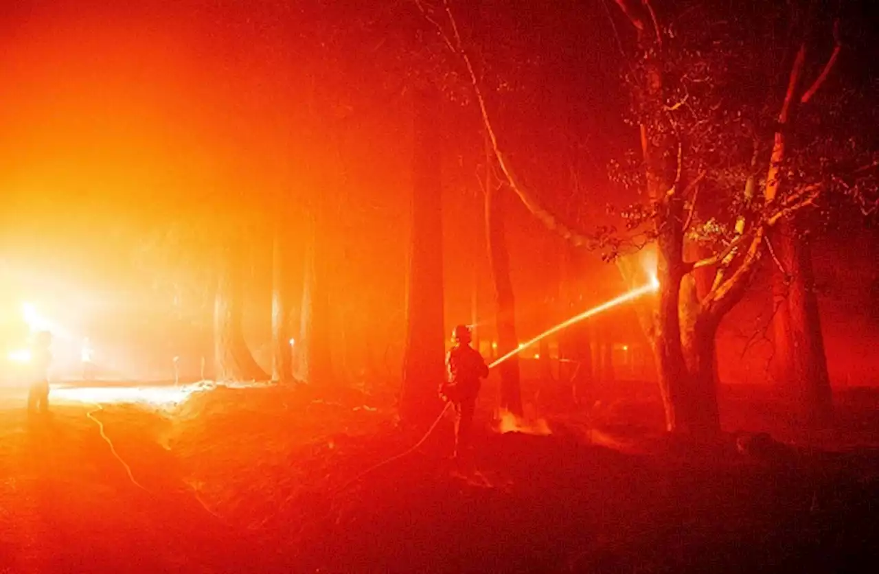 Forest service launches criminal probe into PG&E role in Mosquito fire