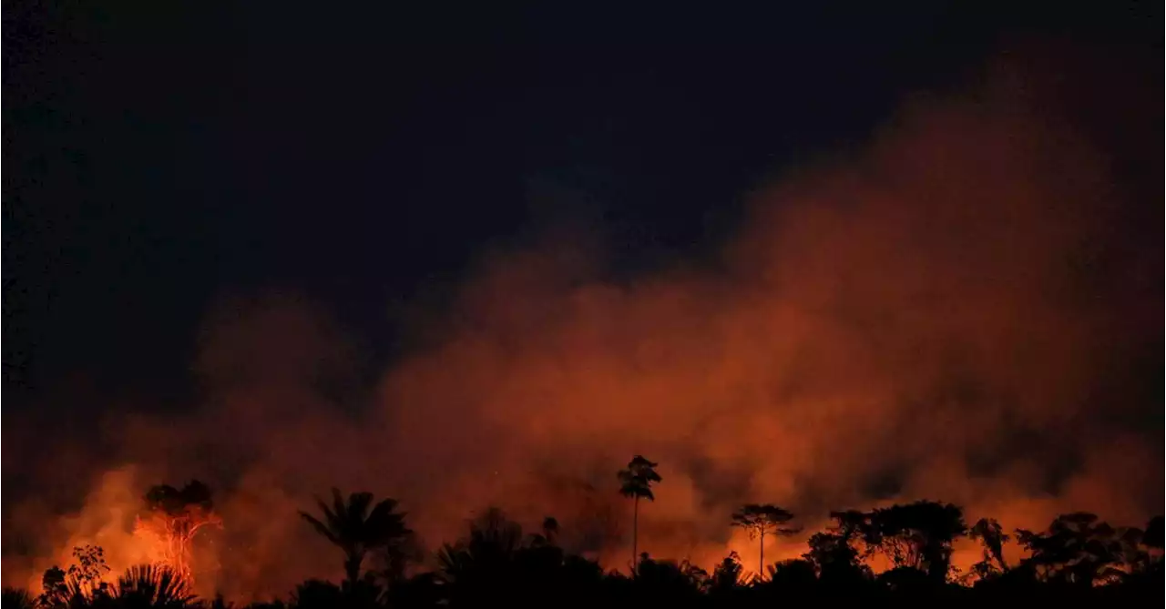 Fires in Brazil's Amazon surge in September, worst month since 2010