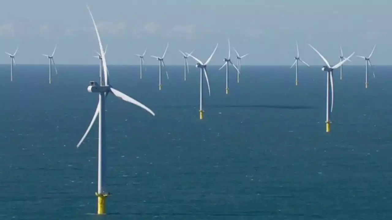 Nearly half of UK's offshore wind capacity owned by state-owned foreign entities, analysis shows