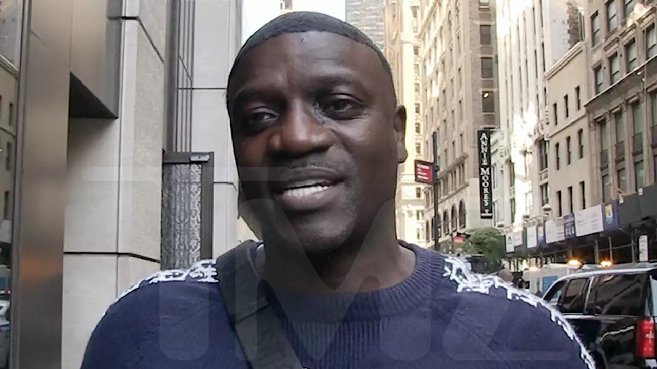 Akon Says He and Michael Jackson Planned To Open Music Schools in Africa