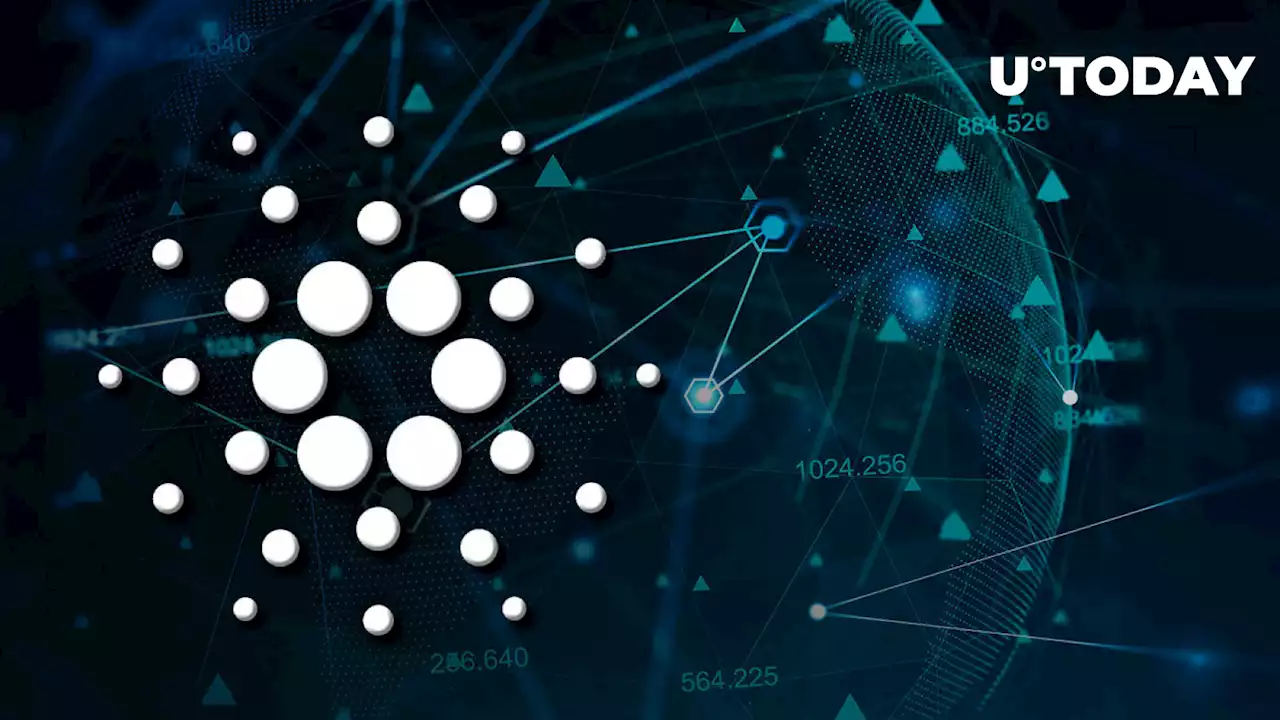 Cardano Vasil: Here's How Network Looks Three Days Later