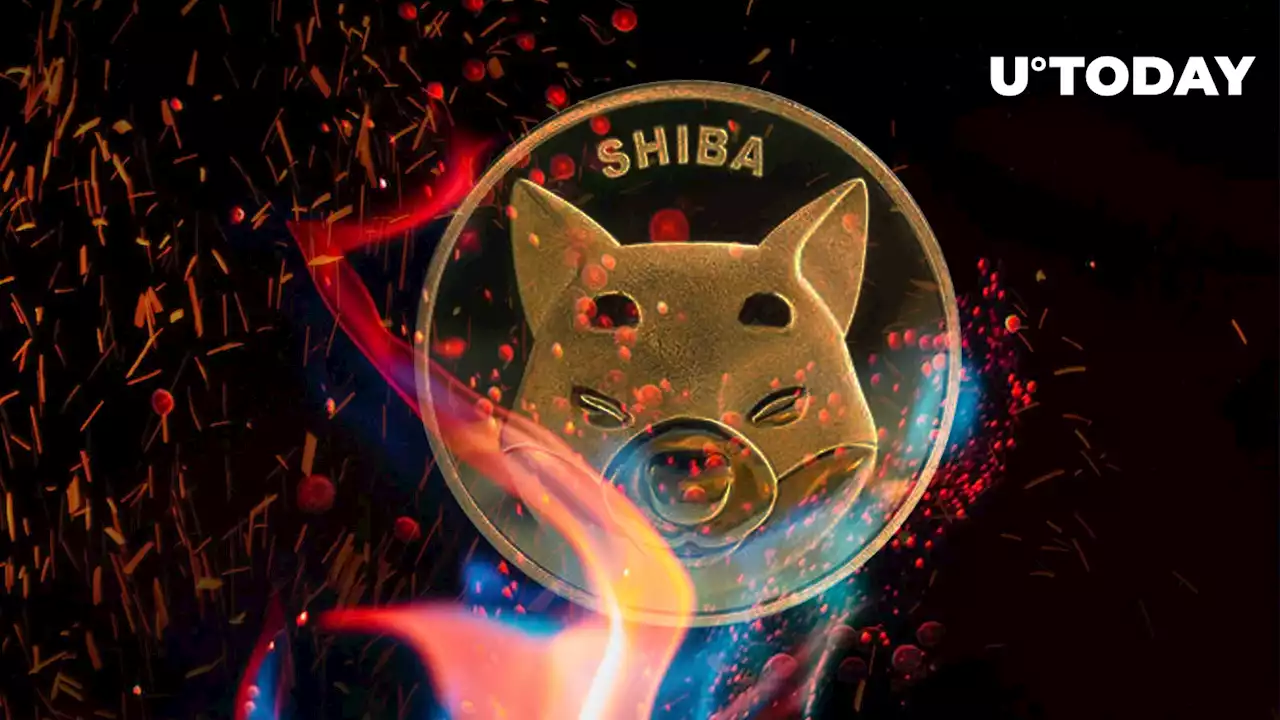 Shiba Inu Burn Rate Reaches Triple Digits, Here's How Much SHIB Was Burned