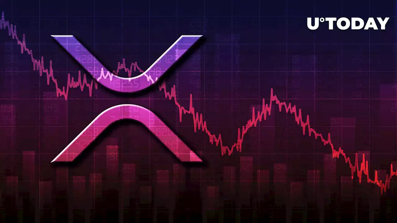 XRP Drops 5% as Momentum Fades