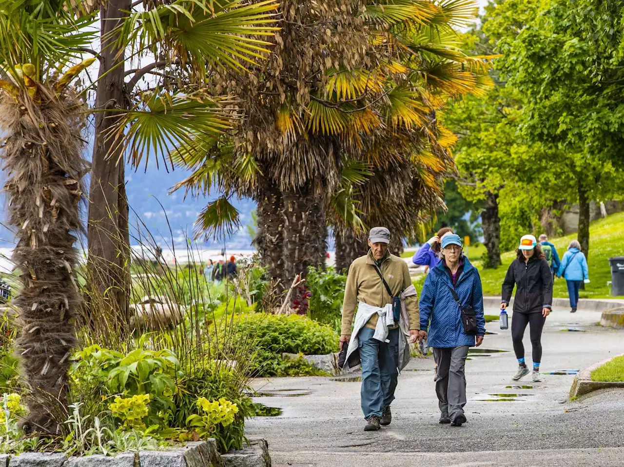 Study says 10,000 steps are great, but how fast we walk important, too