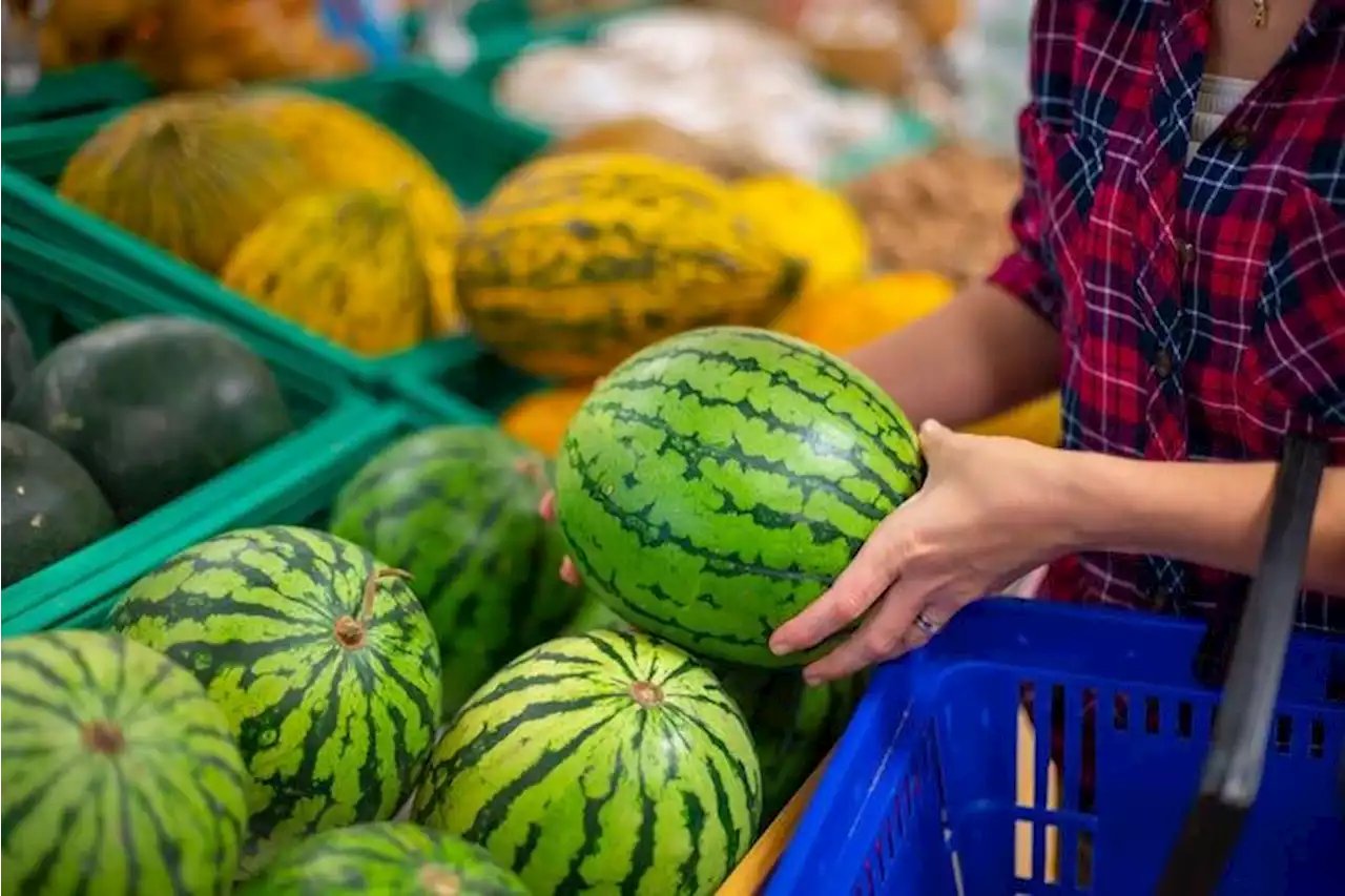 Fact check: No health risk associated with eating seedless watermelons