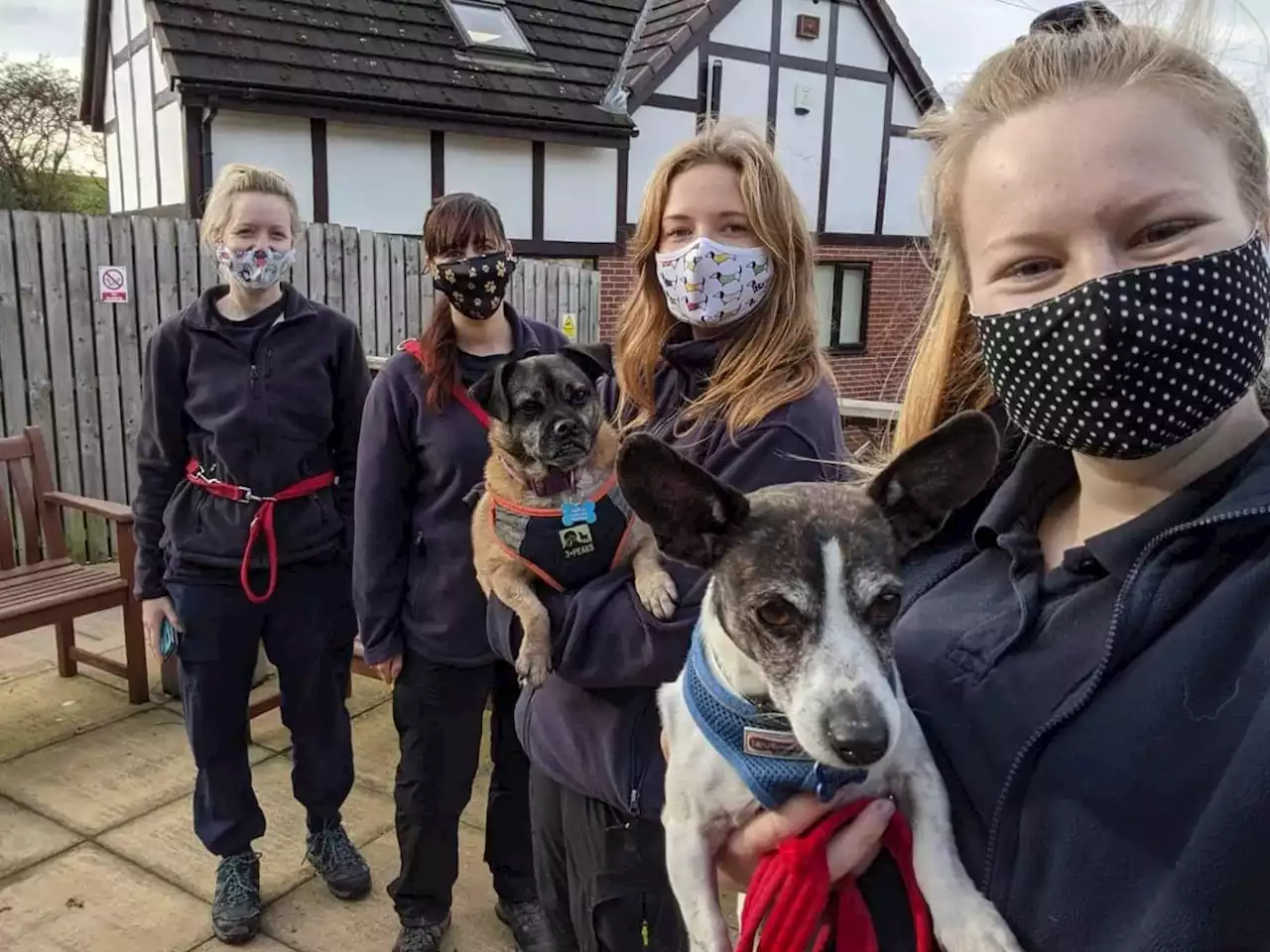 Meet the Yorkshire dogs looking for their forever home due to cost of living crisis