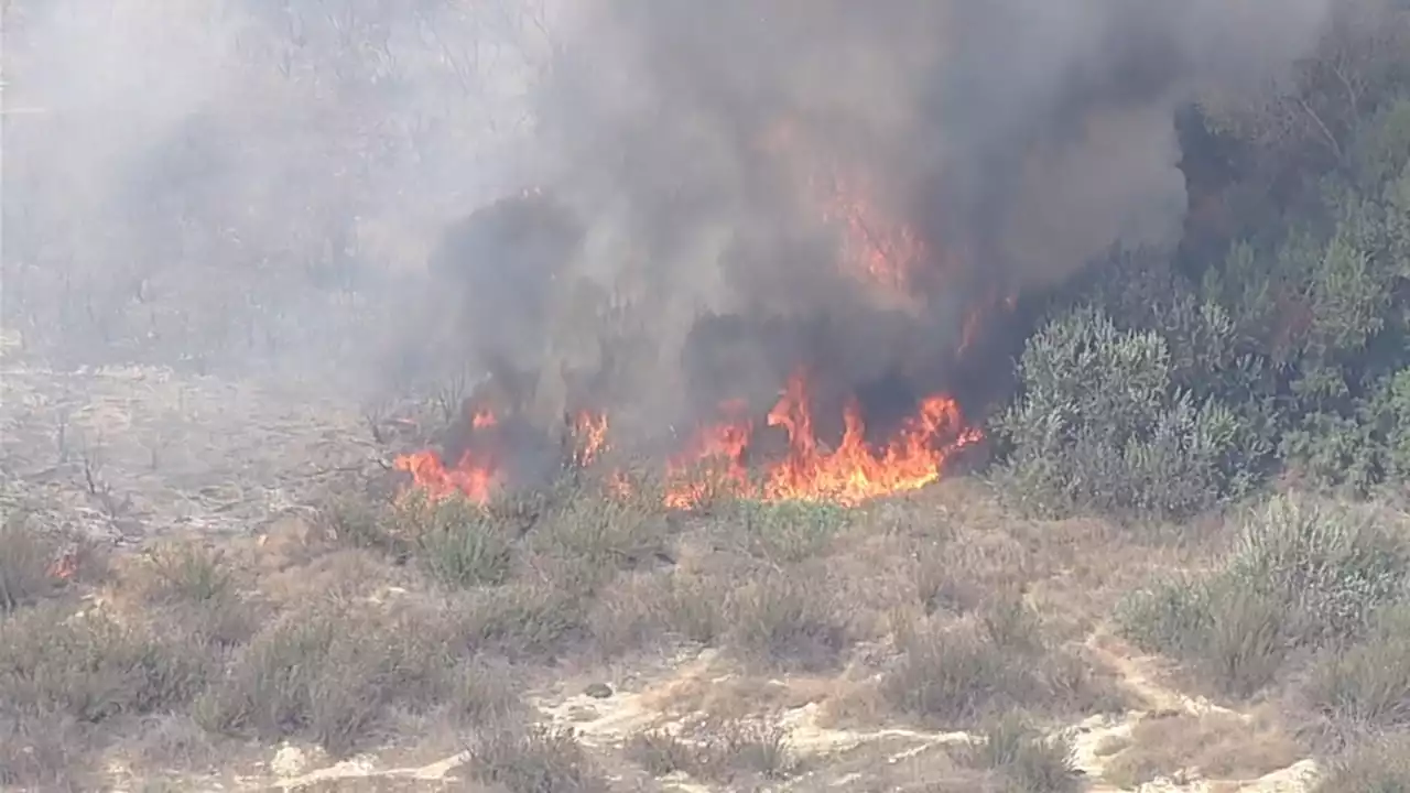 Small, 2-acre brush fire burning near Hansen Dam recreation area amid high temps in the area