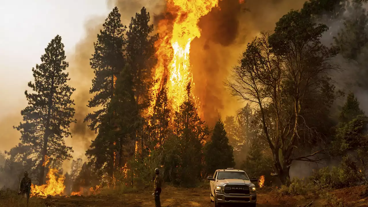 Forest service seizes PG&E equipment as part of Mosquito Fire investigation