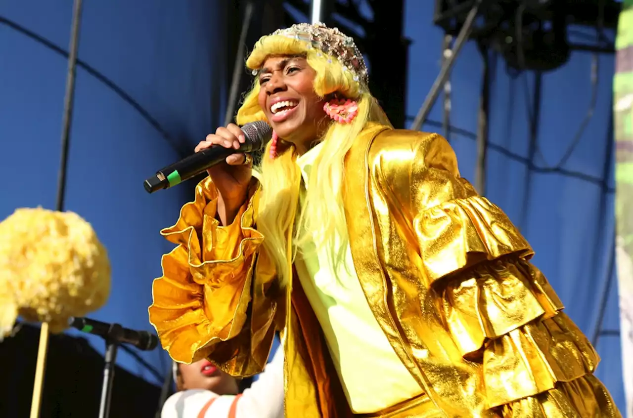 Santigold Cancels North American Holified Tour