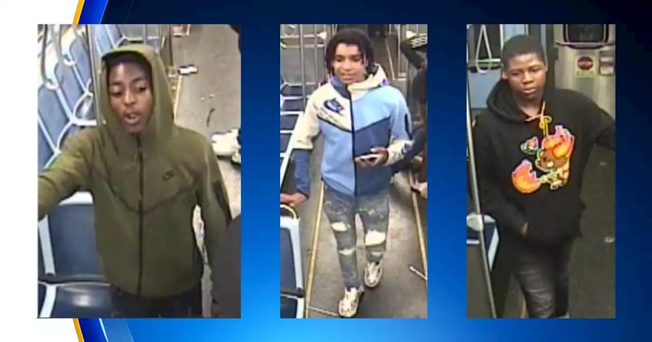 Police release pictures of men who robbed CTA passenger on Red Line train