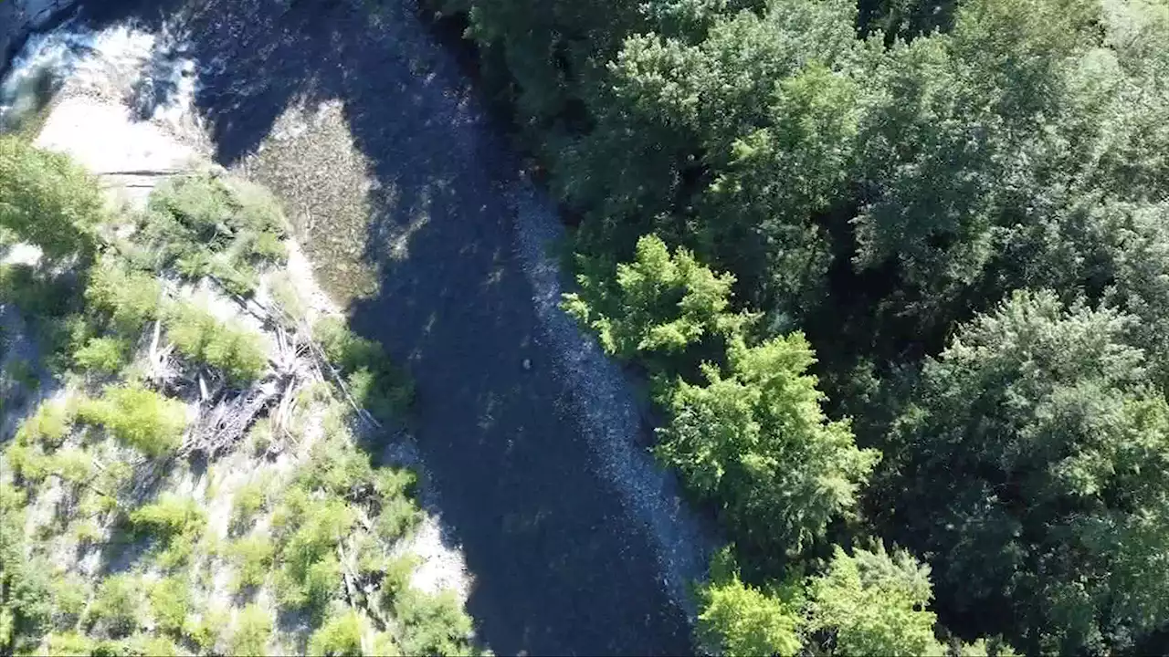 29 hectares of land near Englishman River donated to Nature Trust of BC