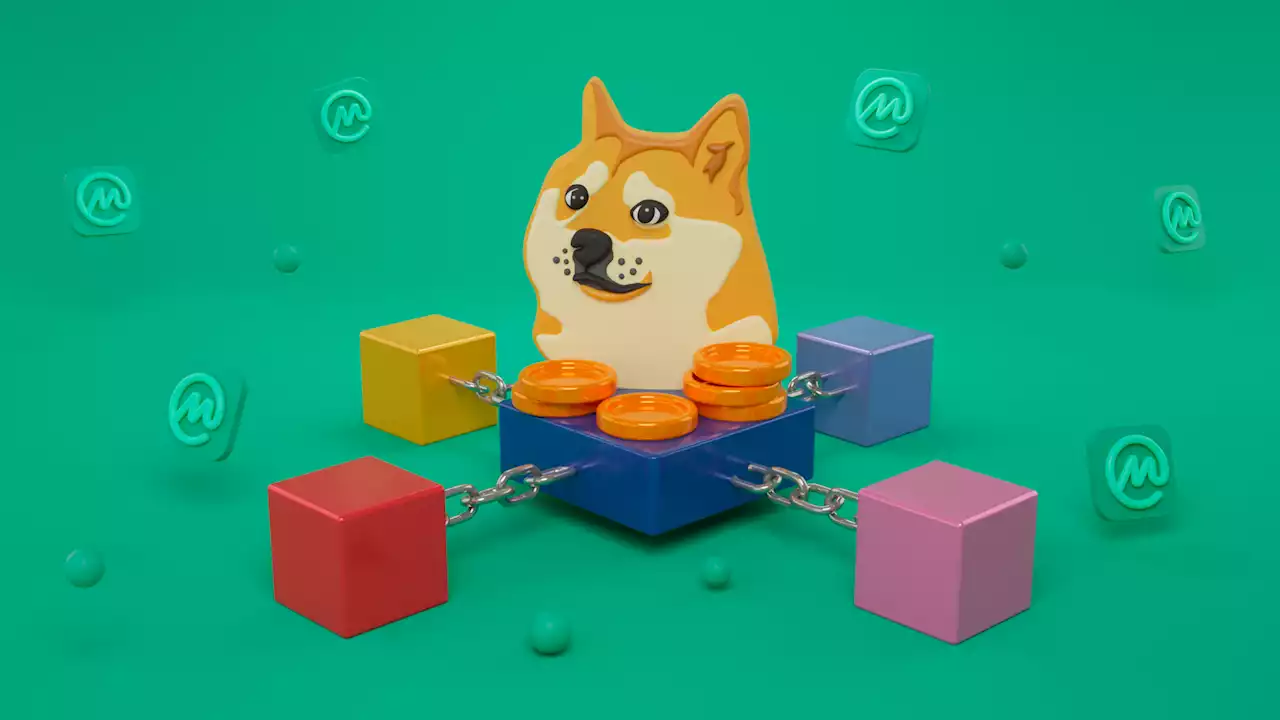 What Is Dogechain? The Smart Contract Platform for Doge | CoinMarketCap