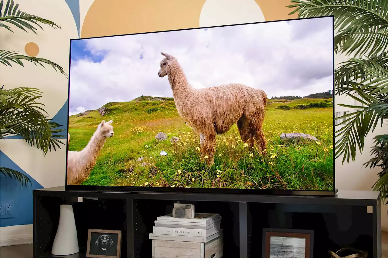 Best TVs of 2022: Smart TVs from LG, Samsung, TCL, and more | Digital Trends