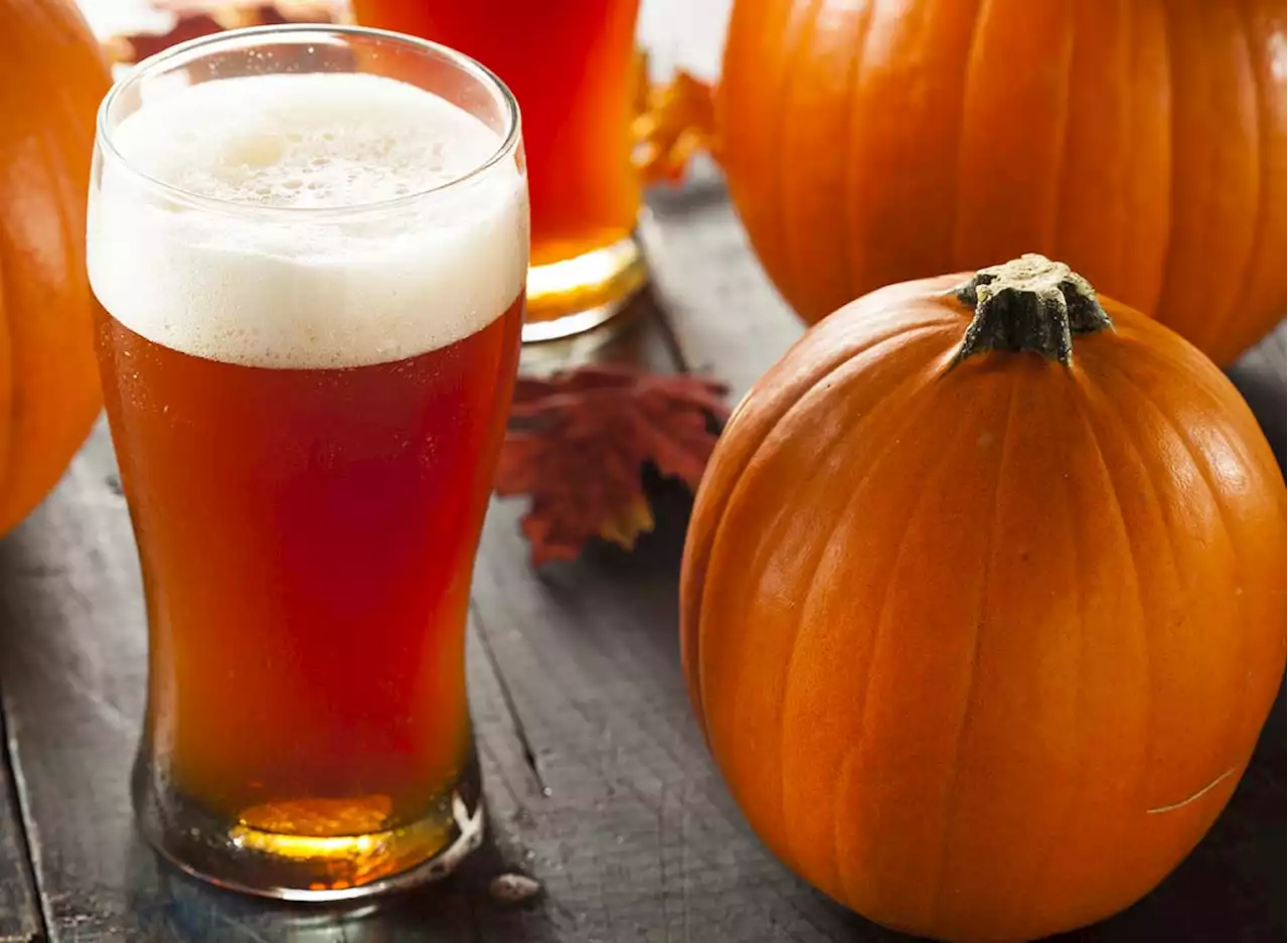 13 Best Pumpkin Beers To Try in 2022 Before They're Gone