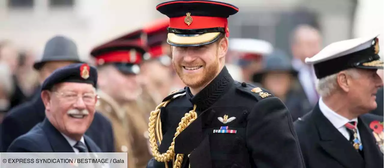 Le prince Harry roi après Charles III ? Cette drôle de prédiction qui amuse outre-Manche - Gala