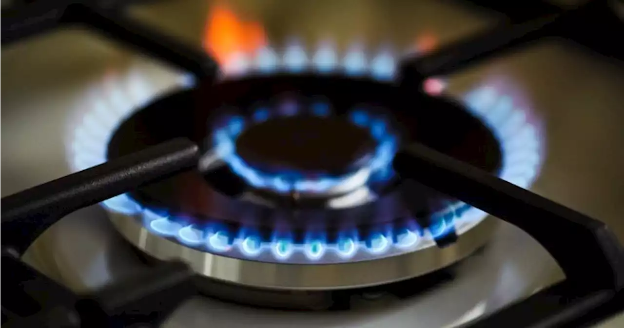 Alberta’s natural gas rebates delayed due to low prices | Globalnews.ca