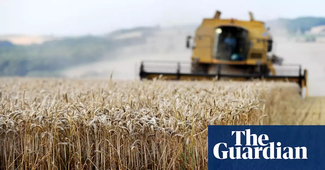 Truss-favoured thinktank attacks ‘massive transfer of wealth’ to landowners