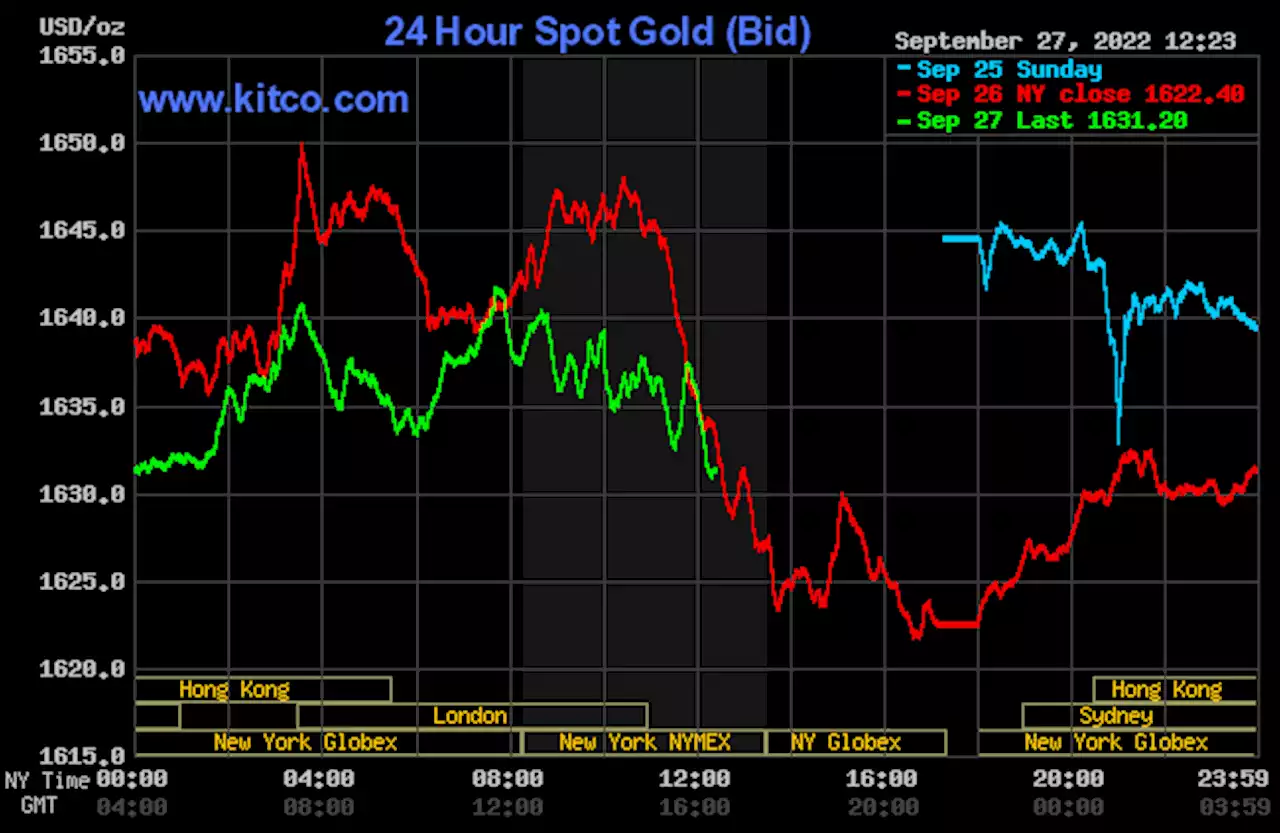 Gold holding modest gains on short-covering bounce, mild safe-haven buying