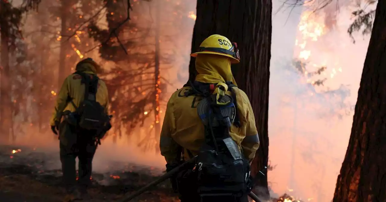 Federal investigators seize PG&E equipment in Mosquito Fire probe