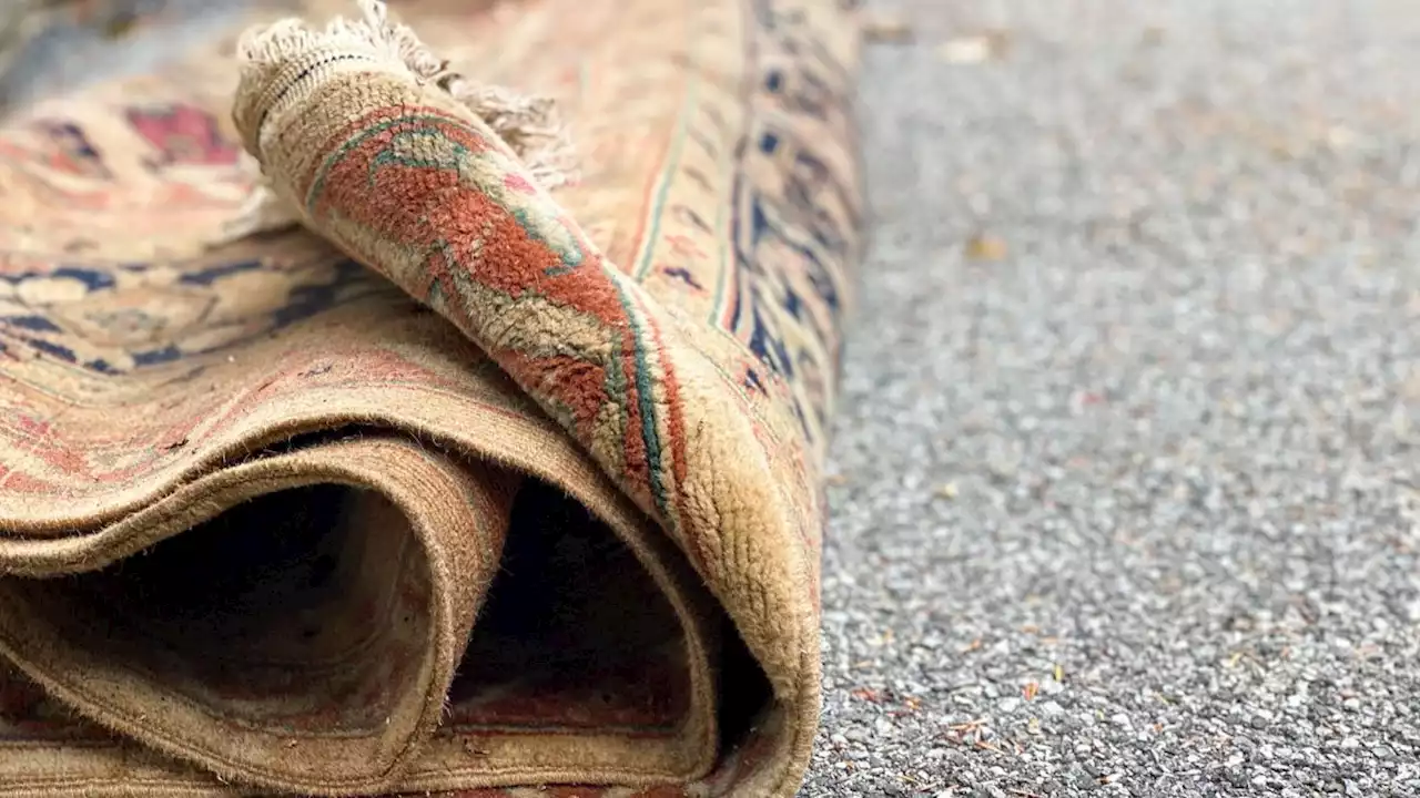 How to remove carpet mold