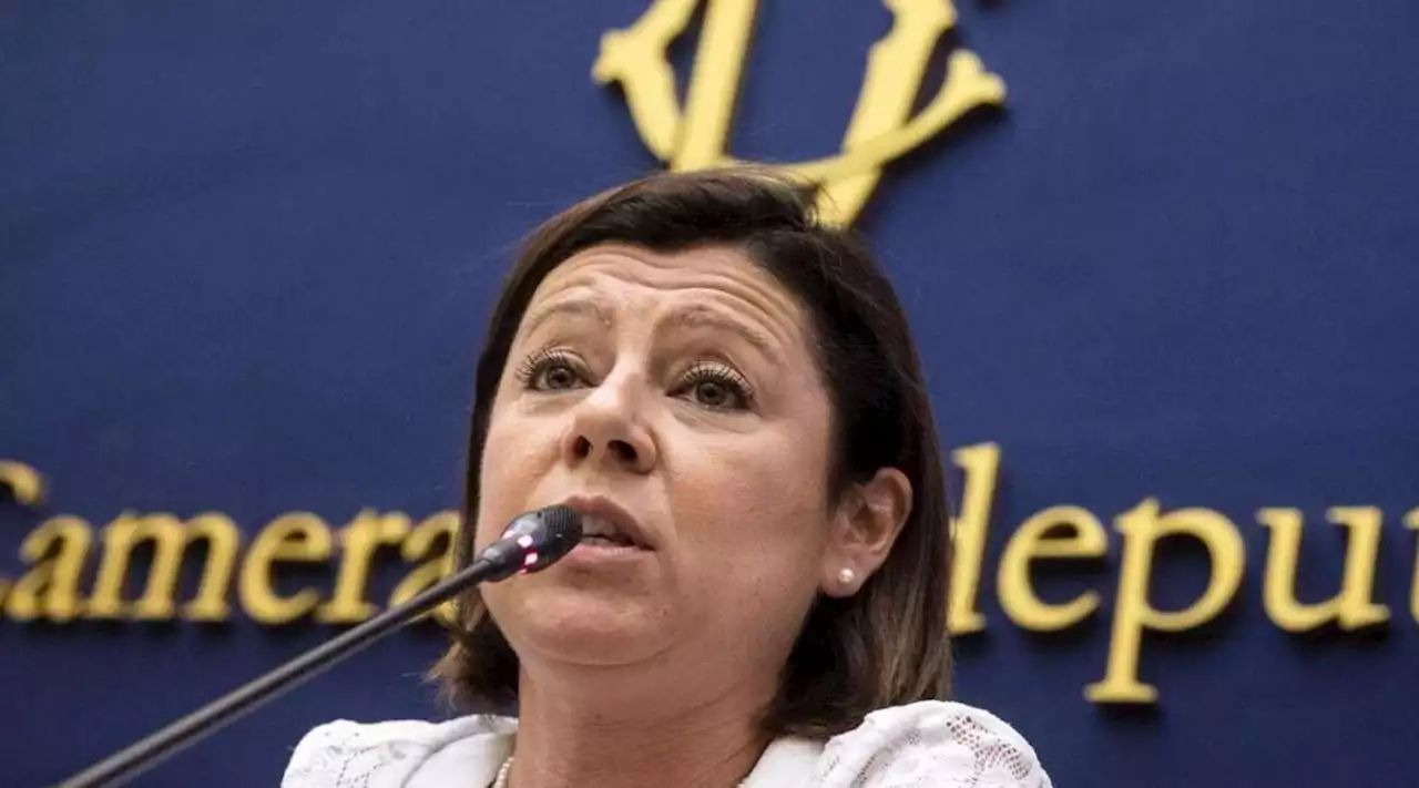 Paola De Micheli si candida come segretaria del Pd per il dopo Letta