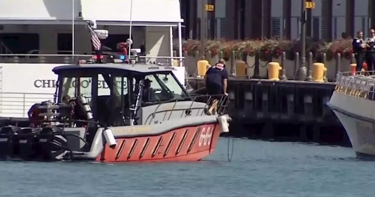 3-year-old dies in Chicago after allegedly being pushed into Lake Michigan by aunt, officials say