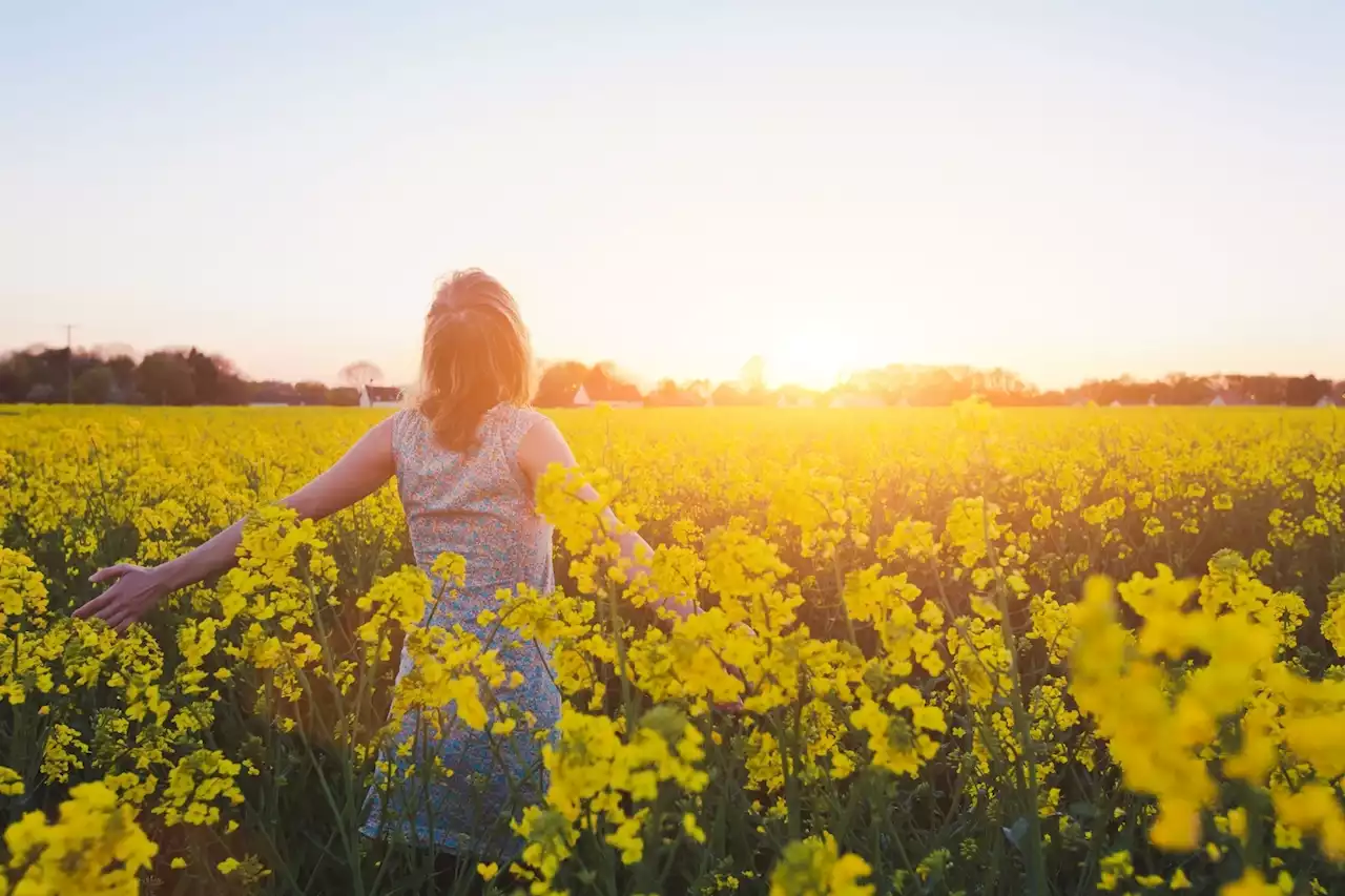 'I'm a psychologist, these are my three tips for happiness'