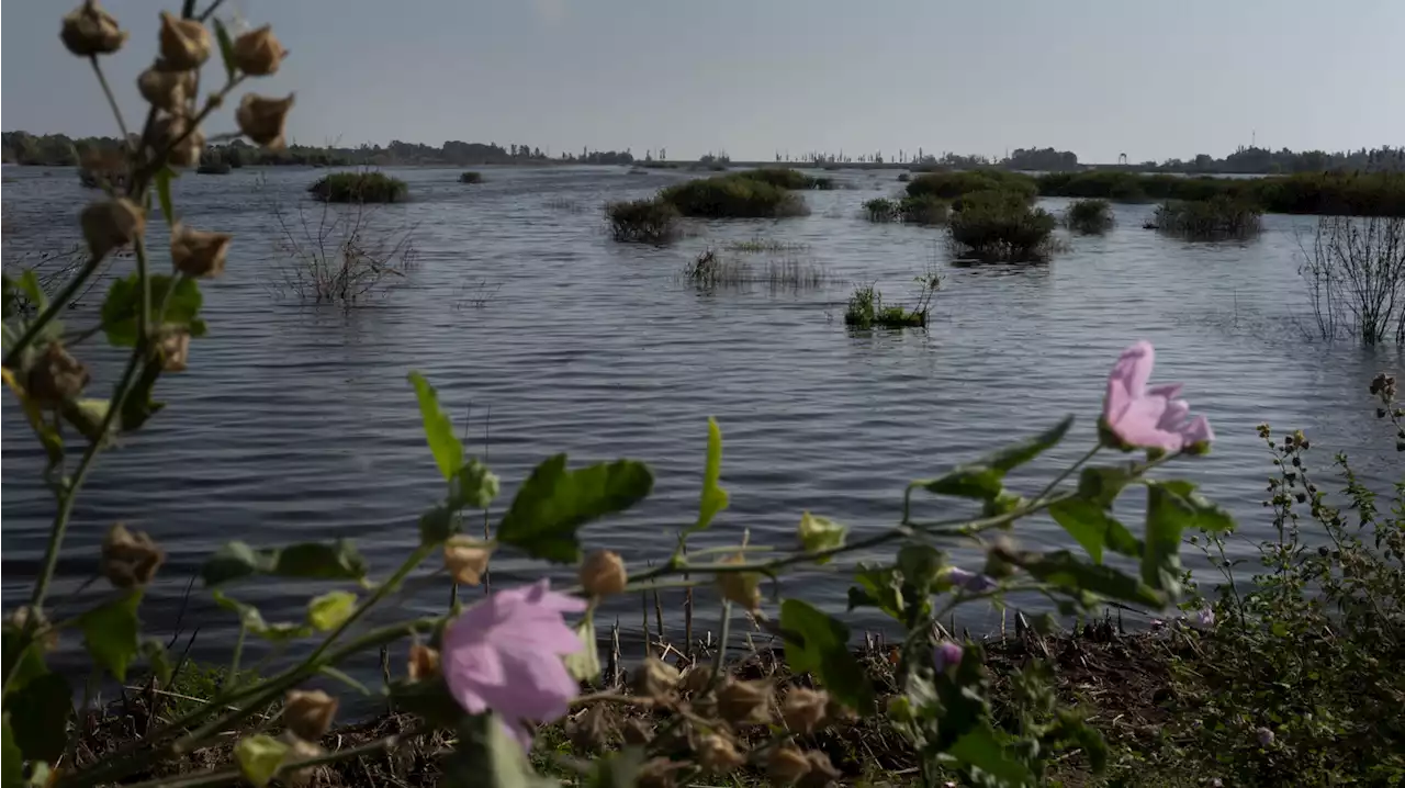 Ukraine flooded a village to save Kyiv. Residents are racing to clean up before winter