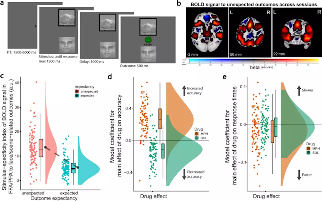 Striatal dopamine dissociates methylphenidate effects on value-based versus surprise-based reversal learning - Nature Communications