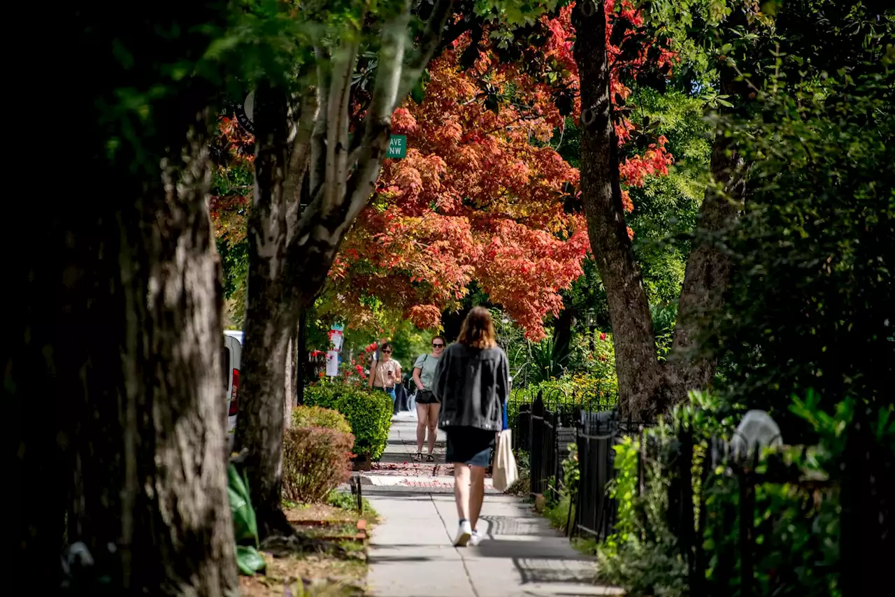 D.C.-area forecast: Awesome fall weather goes on with pleasant days, cool nights