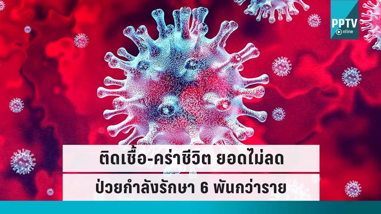 โควิดวันนี้ (27ก.ย.65) ติดเชื้อ-คร่าชีวิตเพิ่ม ป่วยกำลังรักษาอีกกว่า 6 พันราย