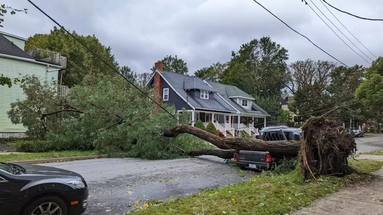 WEATHER PHOTO: Fiona's force in Halifax, N.S. | SaltWire