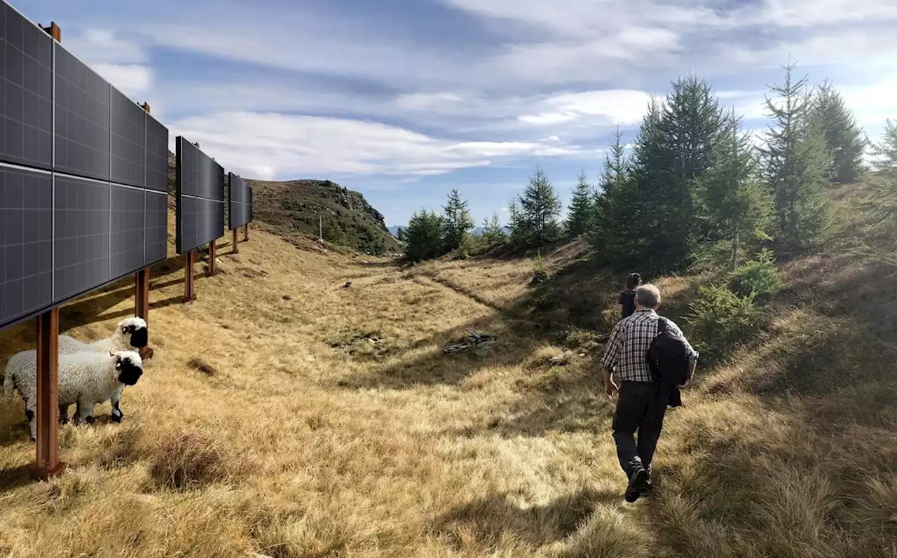 Solar-Offensive-Weg geebnet - Schweizer Bauer