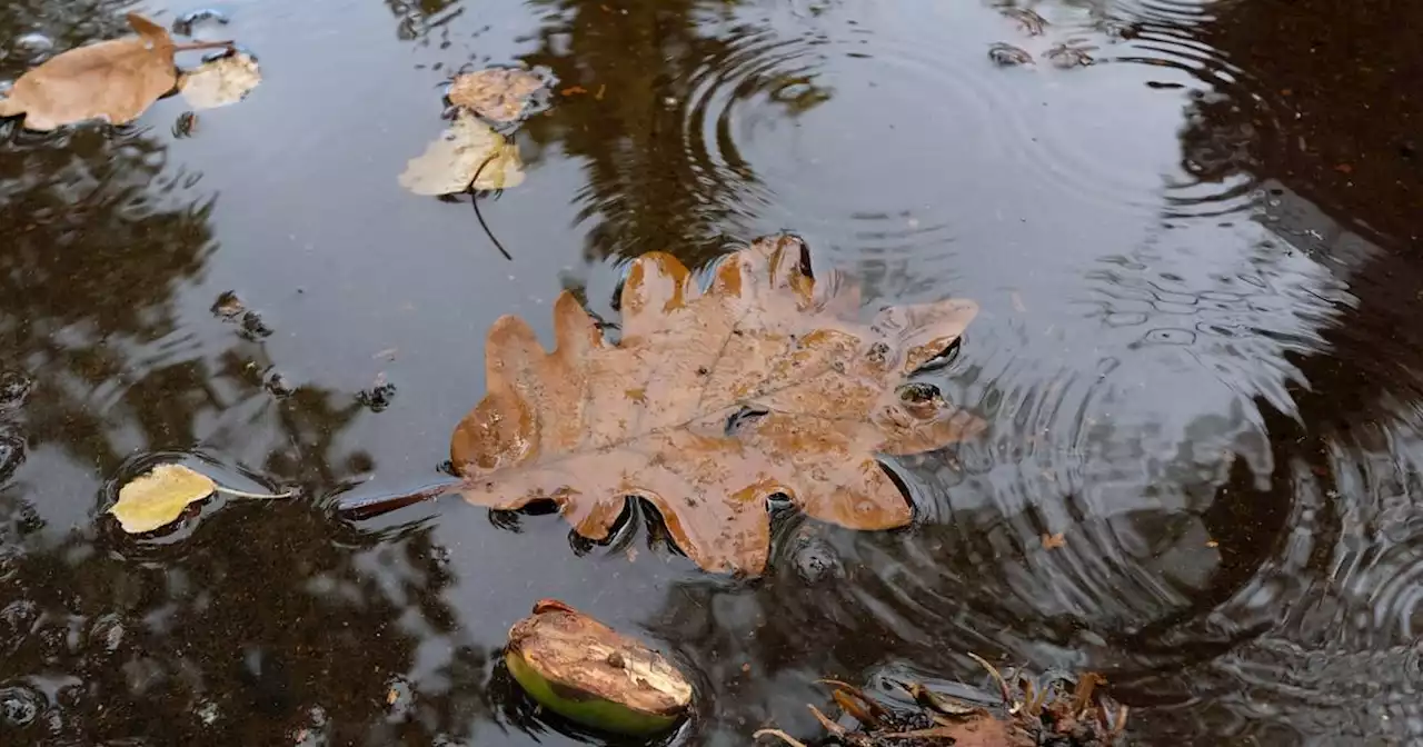 Wettervorhersage: Viel Regen und niedrige Temperaturen – das Wetter im Saarland