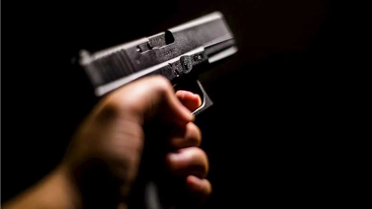 12-Year-Old Allegedly Shoots Her Dad Then Self in ‘Murder Plot’ With Pal