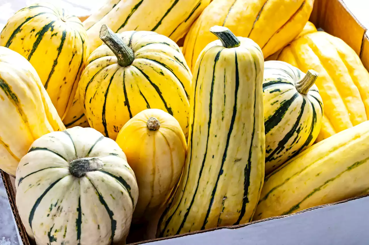 These delicata squash recipes will expand your fall gourd appreciation