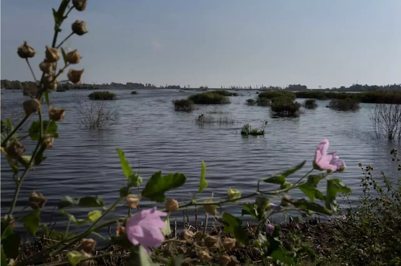 Ukraine flooded a village to save Kyiv. Residents are racing to clean up before winter