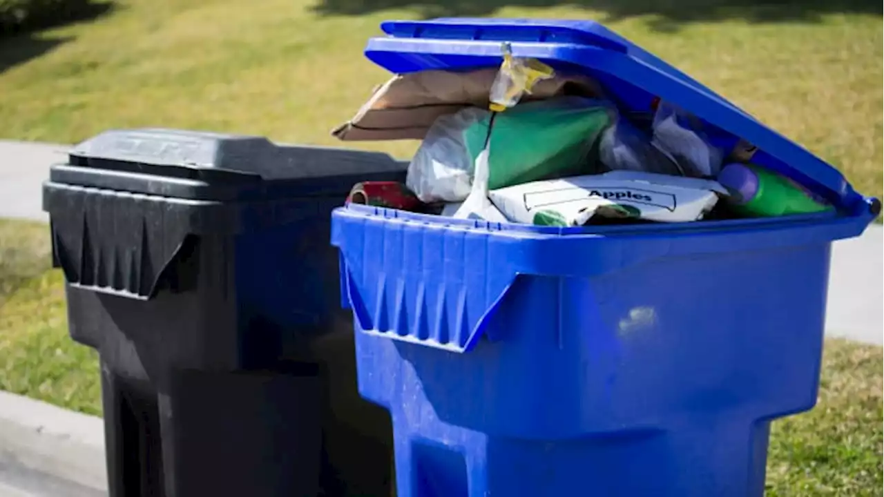 Flagler County cancels garbage collection ahead of Hurricane Ian